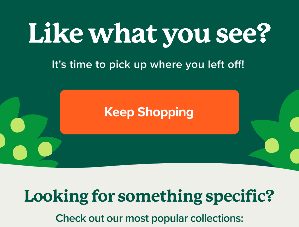 Keep Shopping