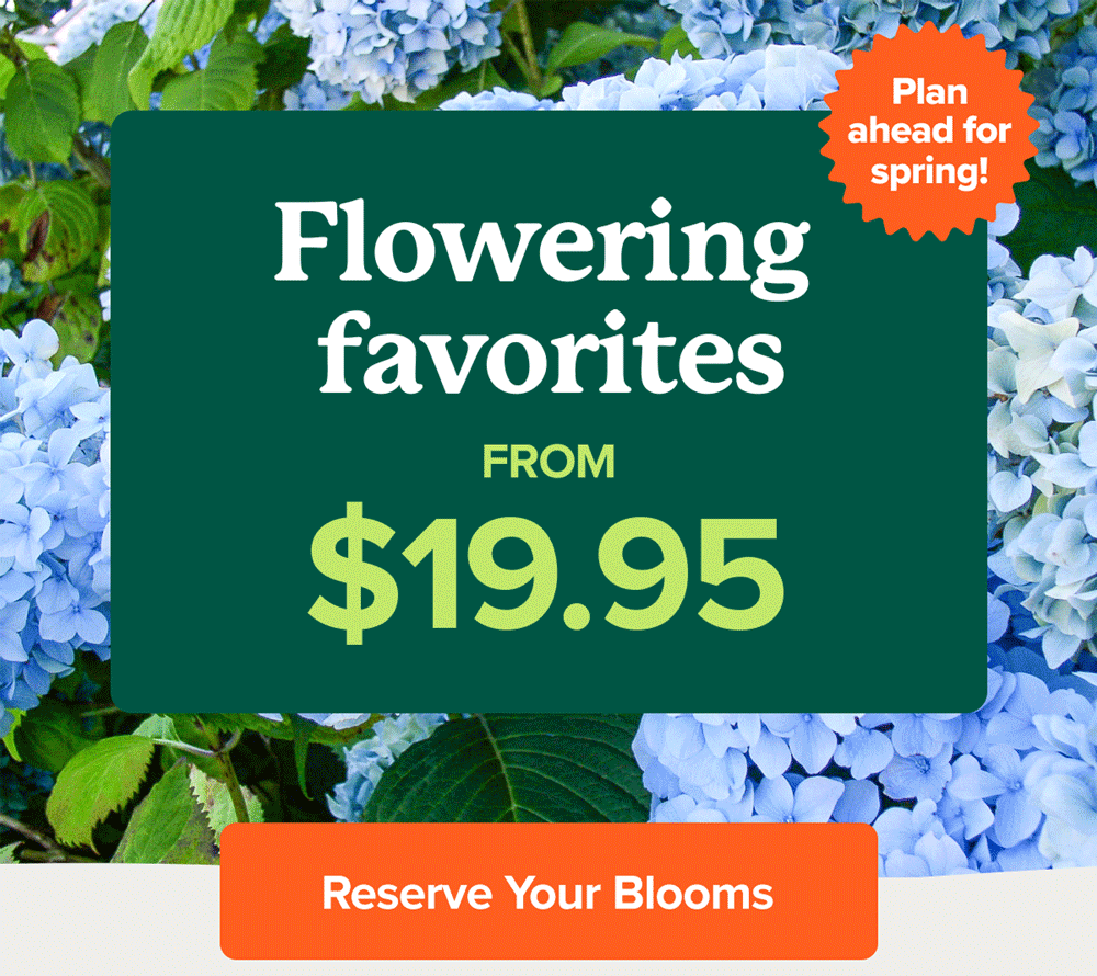 Top flowers at prices you’ll LOVE Fast Growing Trees