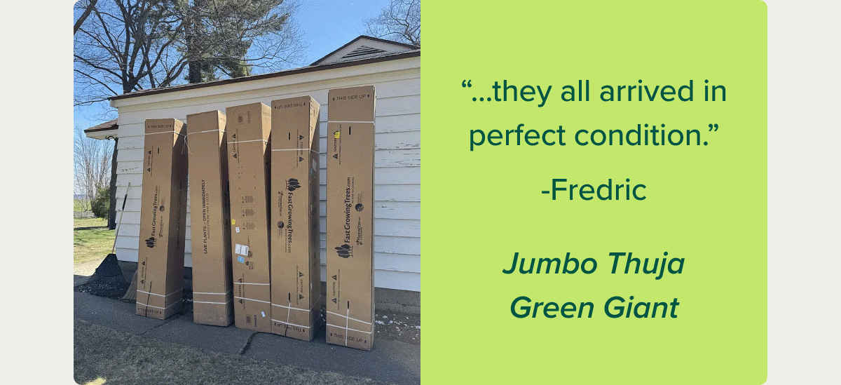 Shipped safely. Delivered thriving. Every time. Here's how we do it>>