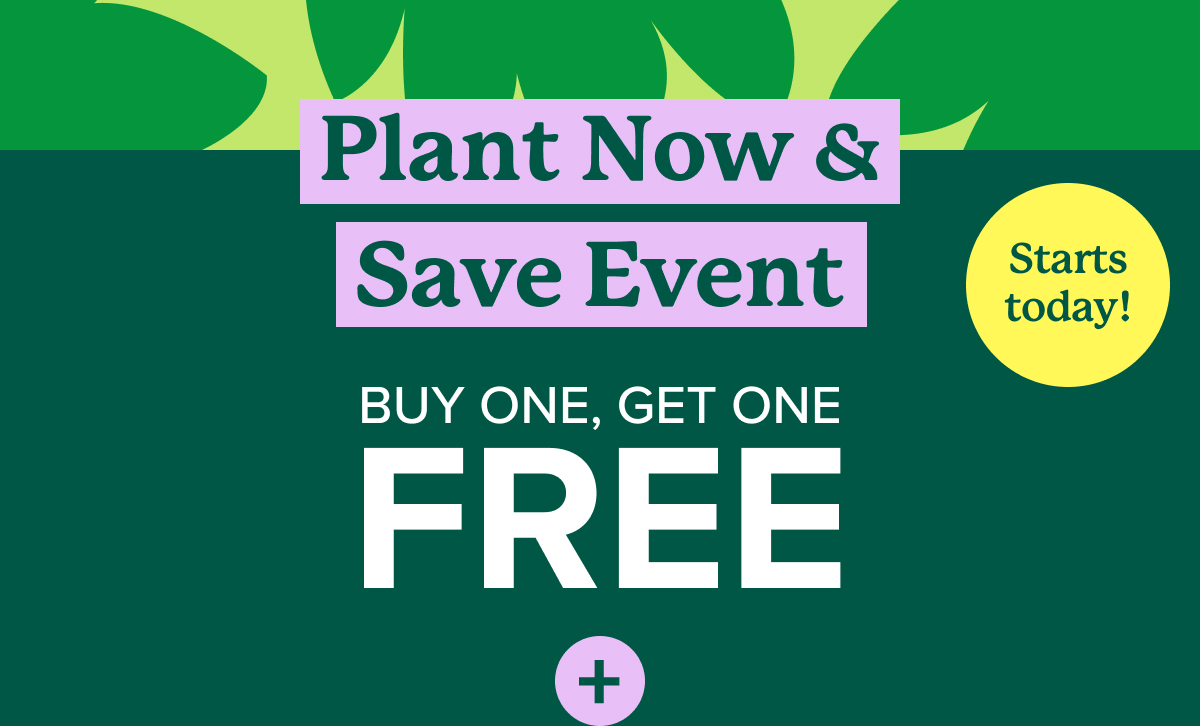 OOPS! Find more savings inside. Fast Growing Trees