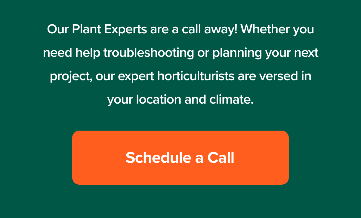 schedule a call