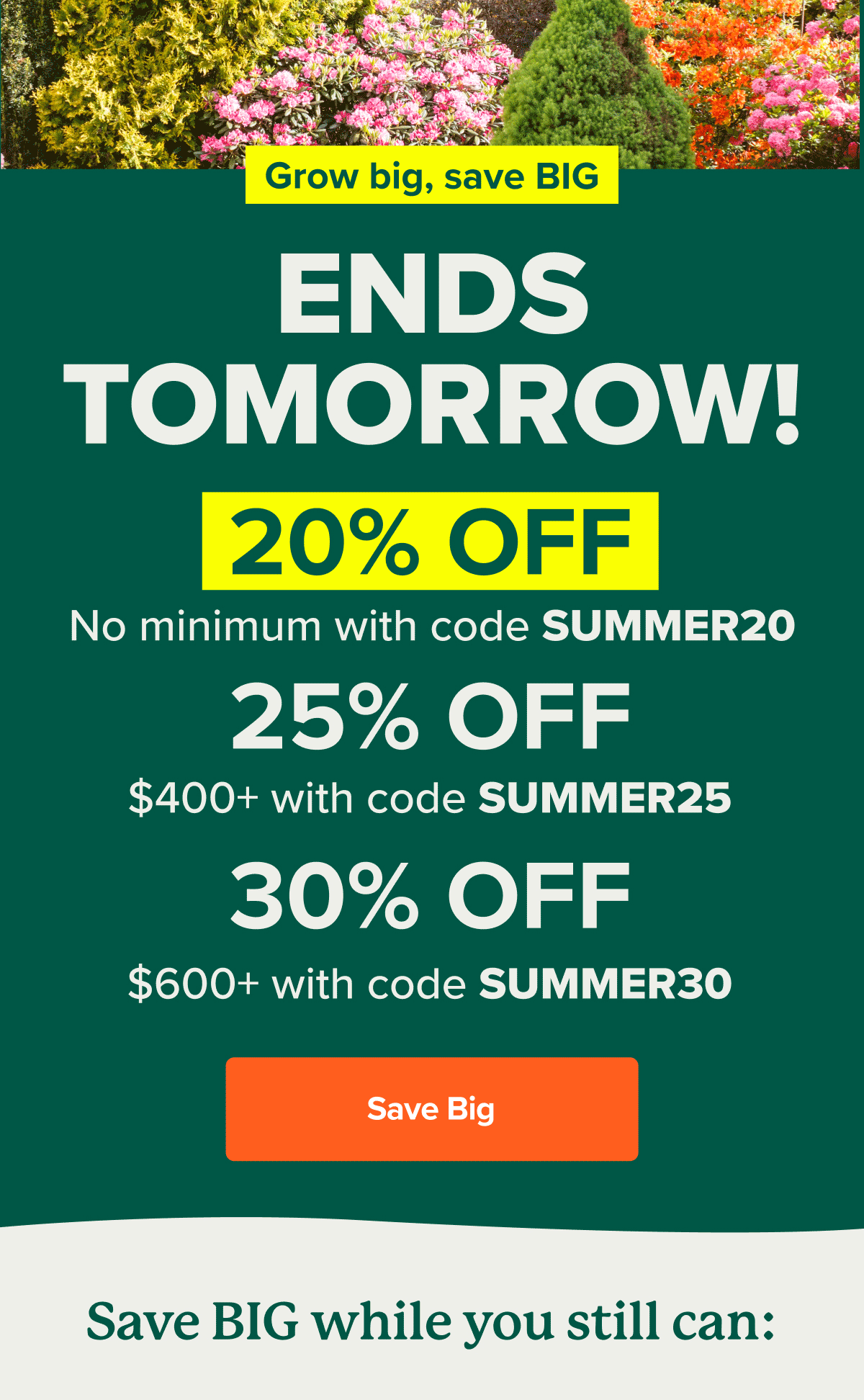 ENDS TOMORROW! 20% off sitewide with code SUMMER20. 25% off $400+ with code SUMMER25. 30% off $600+ with code SUMMER30. SAVE NOW>>