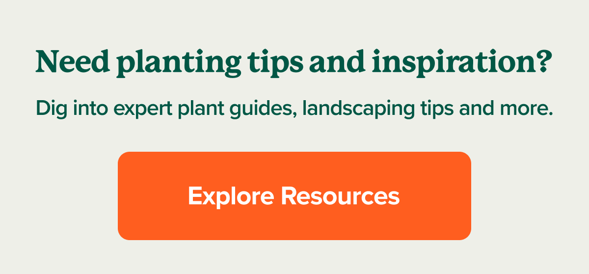 Explore resources