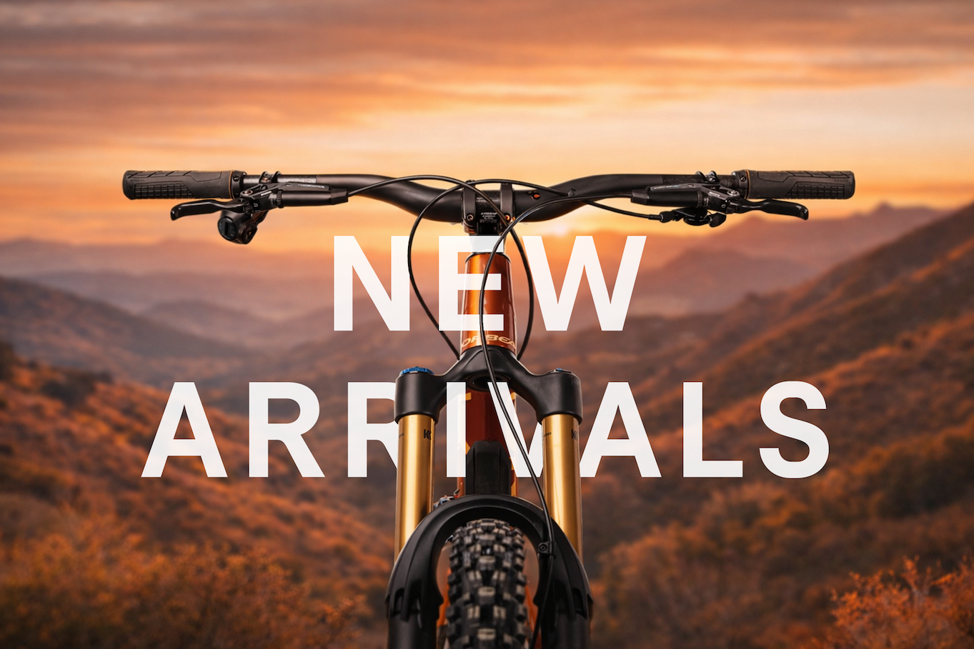 Fresh Inventory Just Dropped