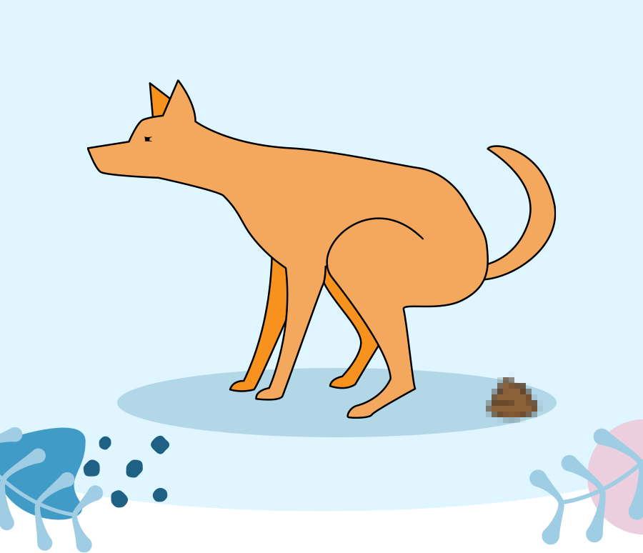 Could your dog's poop be a warning sign of illness? Skippers Pet Products