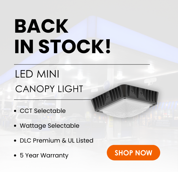 Mini Canopy Light