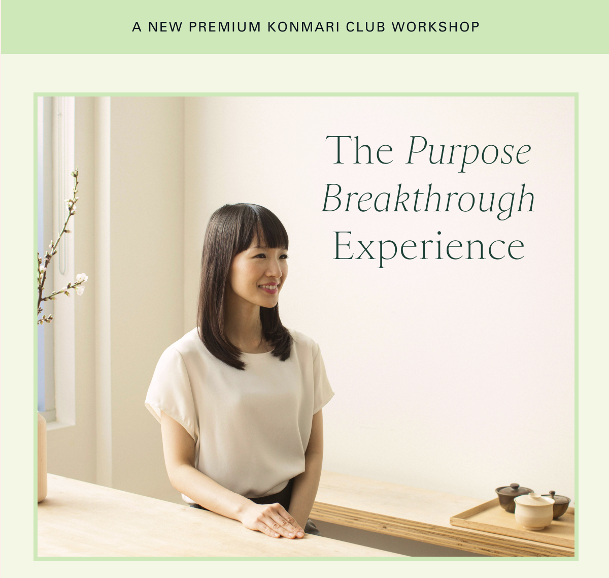 A New Premium KonMari Club Workshop: The Purpose Breakthrough Experience