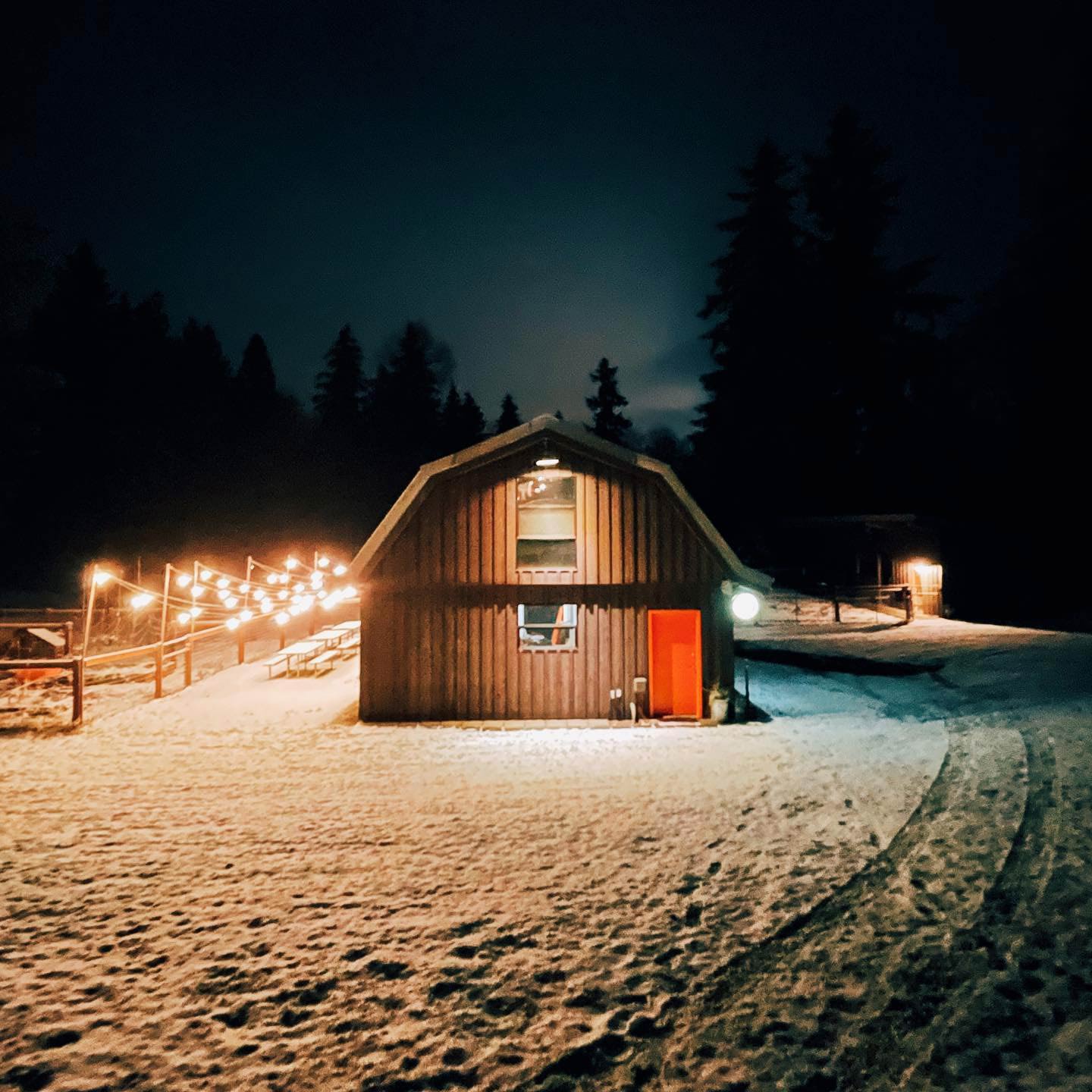 Invisible Creatures studio vis Instagram