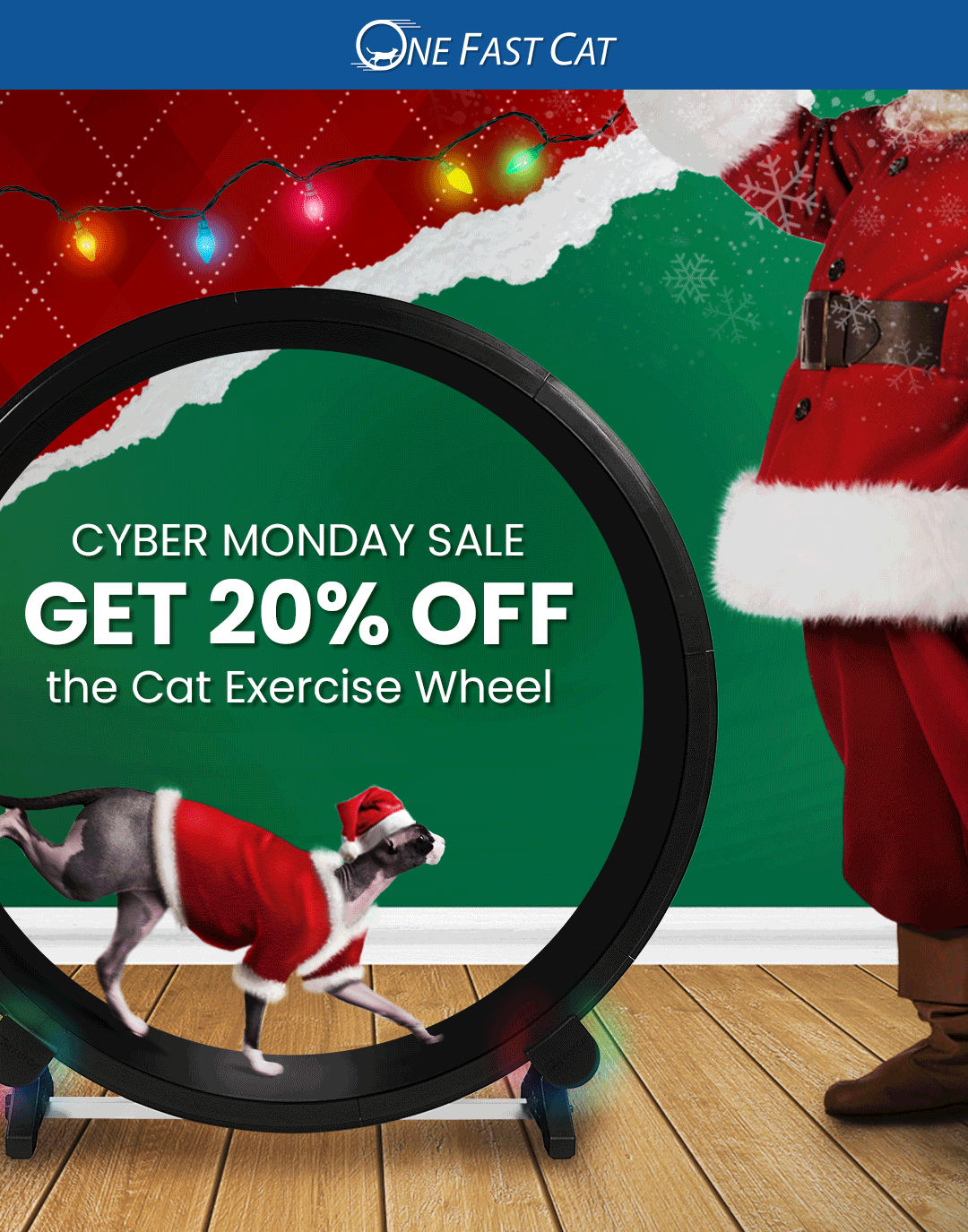 Cyber Monday Starts MEOW! Get 20 OFF the Cat Wheel 😻 One Fast Cat