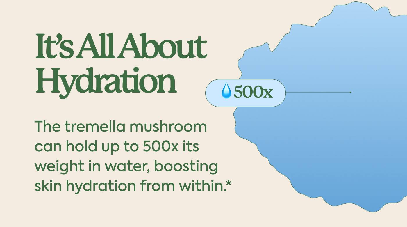 It’s All About Hydration The tremella mushroom can hold up to 500x its weight in water, boosting skin hydration from within.*