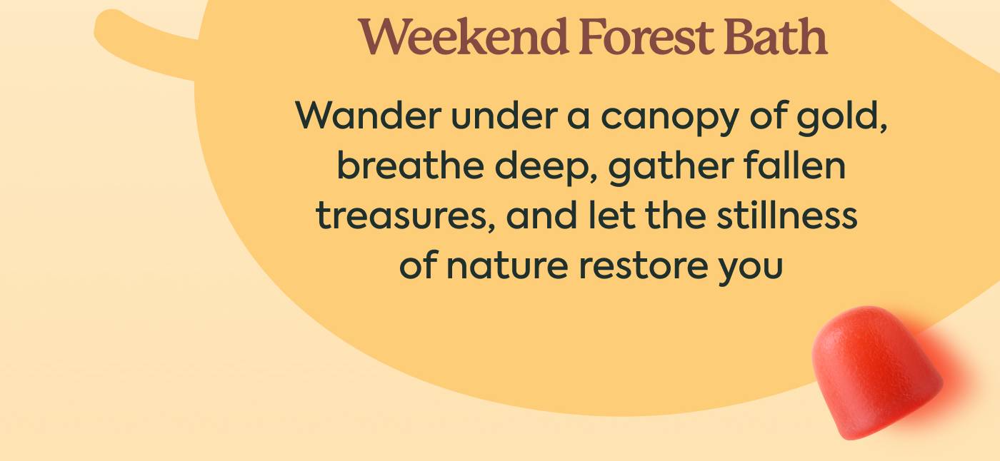 Weekend Forest Bath — Wander under a canopy of gold, breathe deep, gather fallen treasures, and let the stillness of nature restore you Weekend Forest Bath — Wander under a canopy of gold, breathe deep, gather fallen treasures, and let the stillness of nature restore you