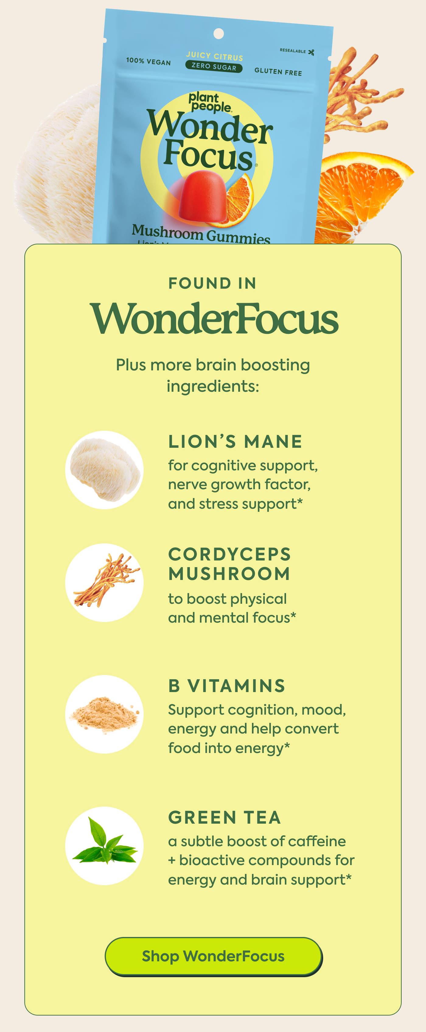 Shop WonderFocus Shop WonderFocus