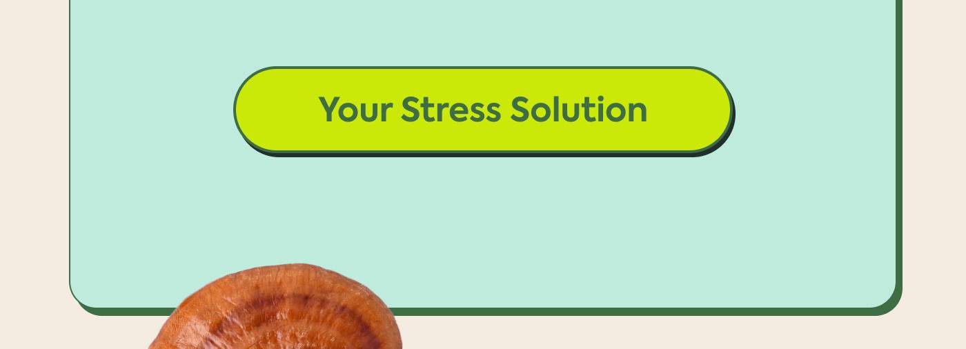 Your Stress Solution Your Stress Solution