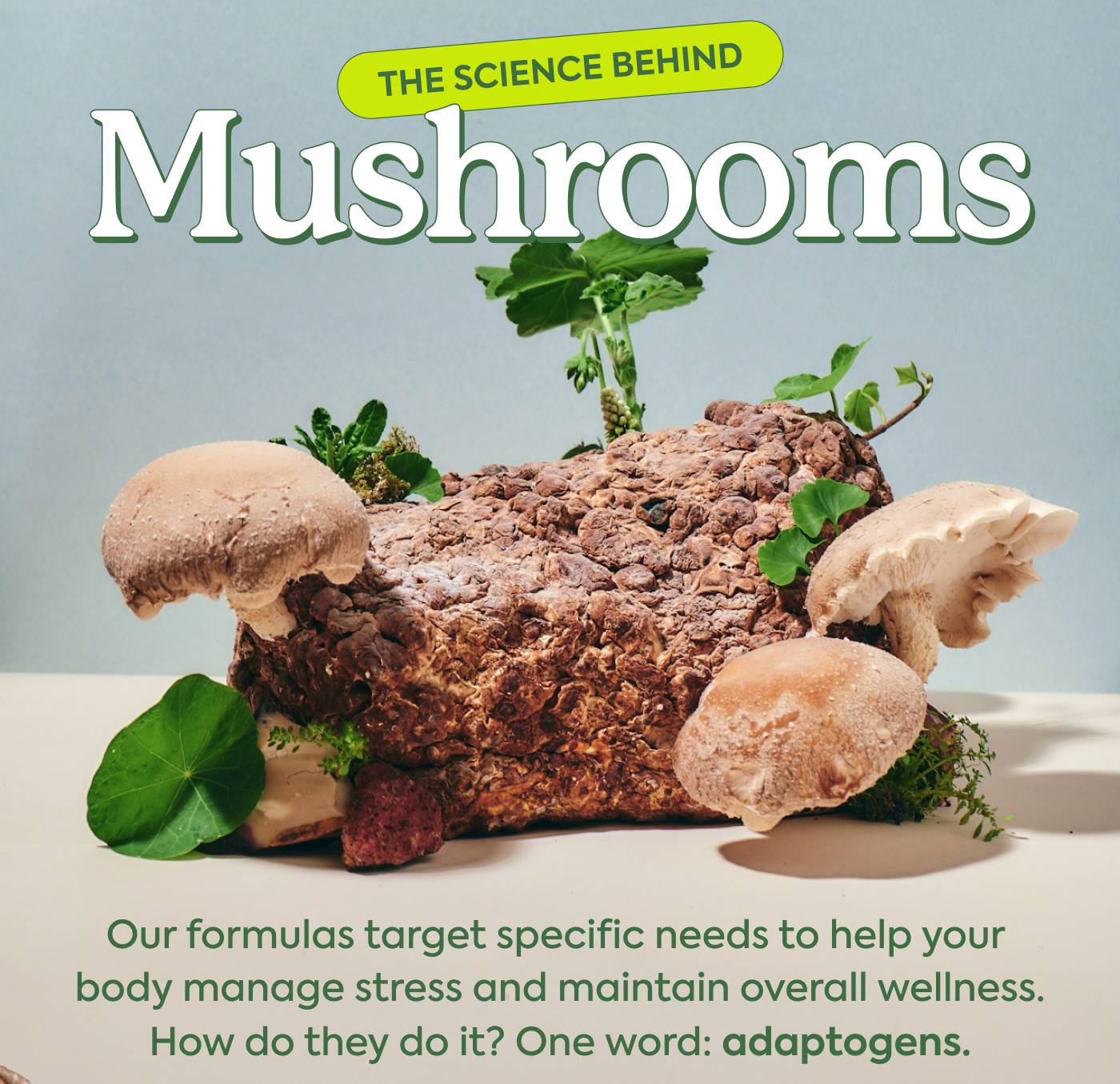 The Science Behind The Mushrooms Our formulas target specific needs to help your body manage stress and maintain overall wellness. How do they do it? One word: adaptogens.