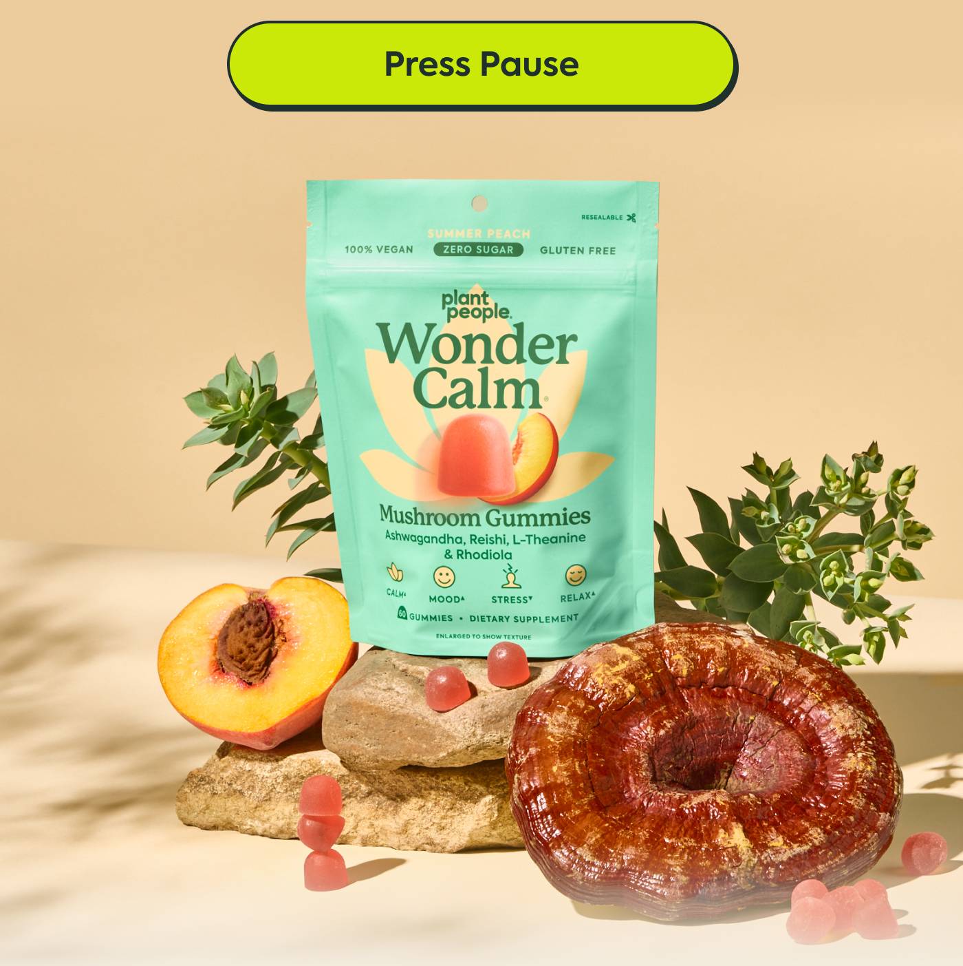 Press Pause Press Pause