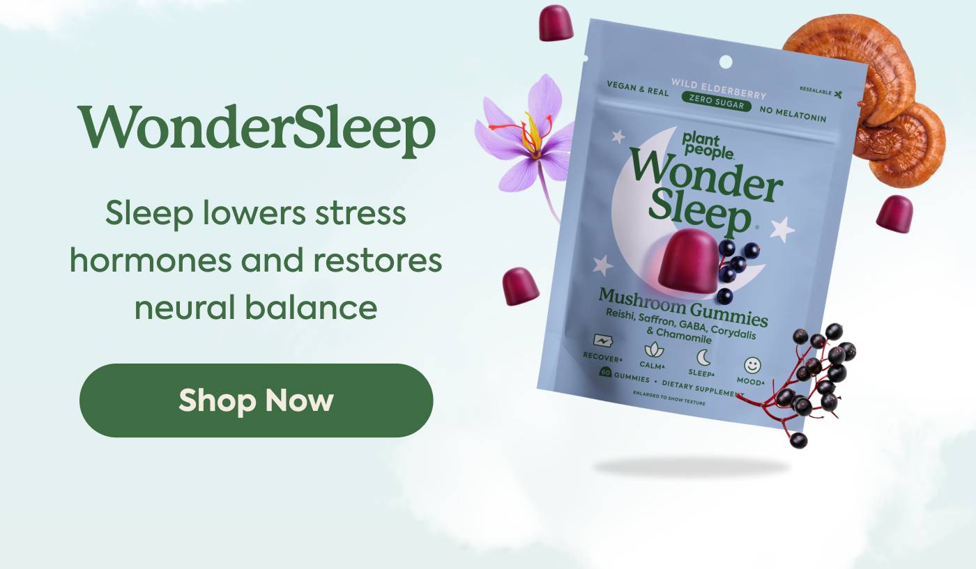 WonderSleep: Sleep lowers stress hormones and restores neural balance WonderSleep: Sleep lowers stress hormones and restores neural balance