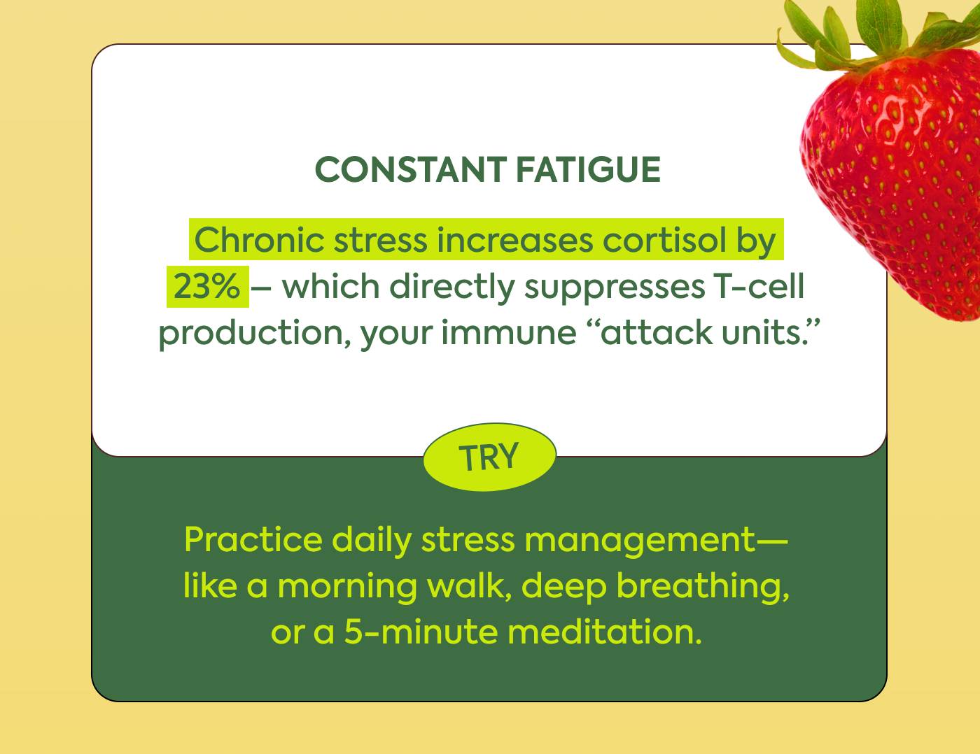 Constant fatigue Constant fatigue