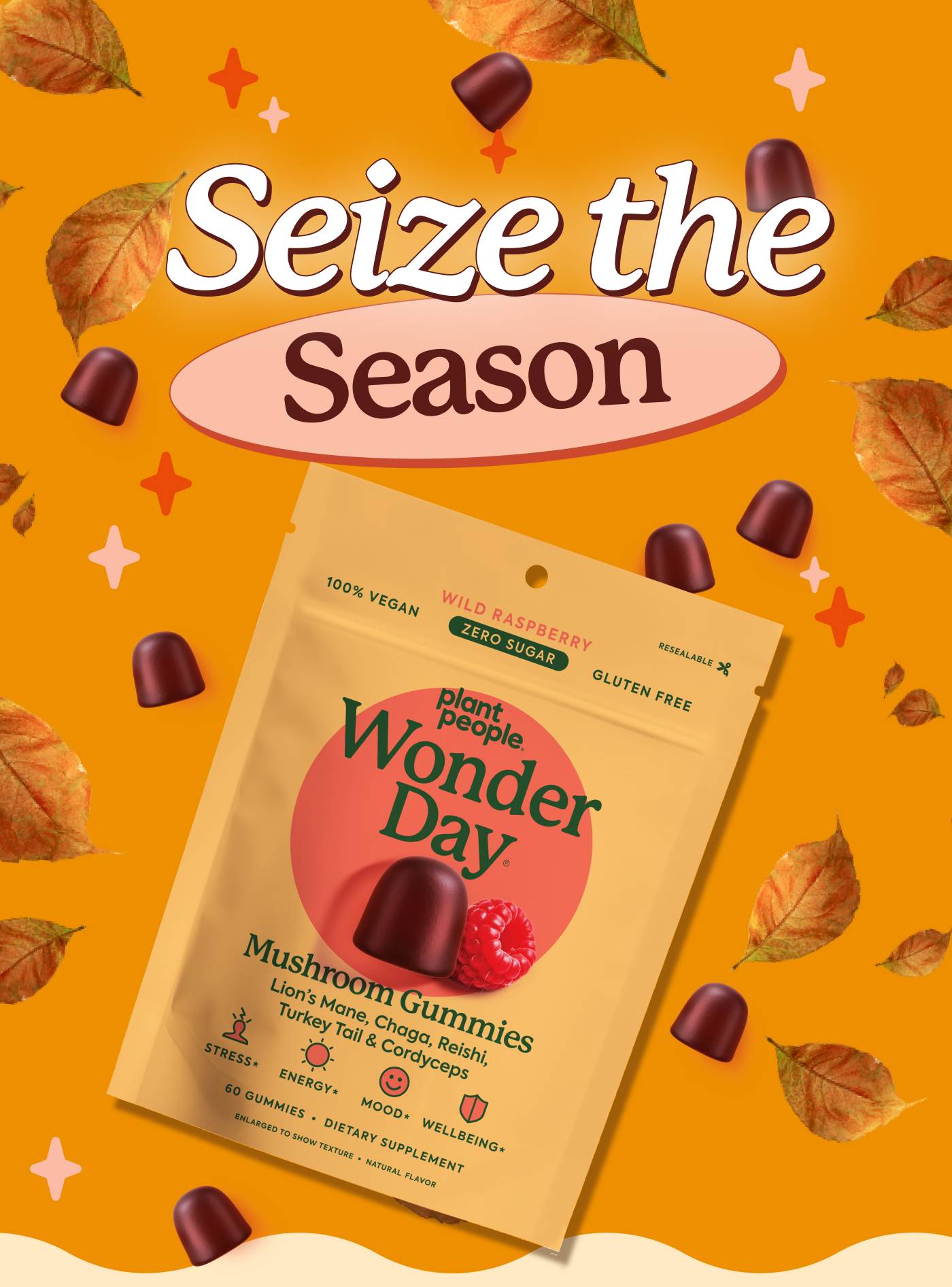 Seize the season Seize the season