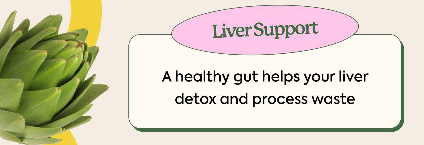 Liver Support A healthy gut helps your liver detox and process waste 