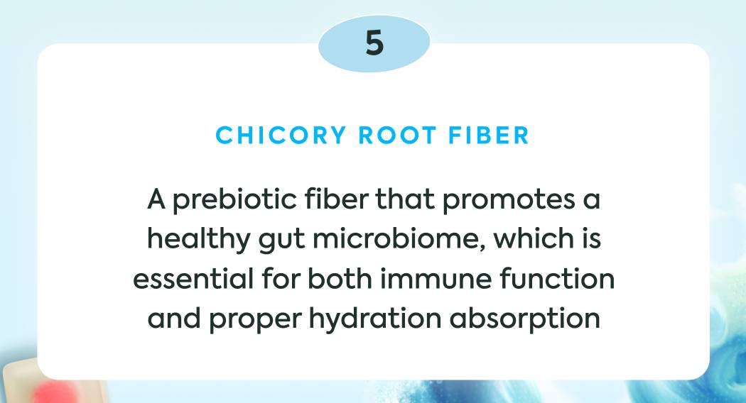 Chicory Root Fiber: A prebiotic fiber that promotes a healthy gut microbiome, which is essential for both immune function and proper hydration absorption