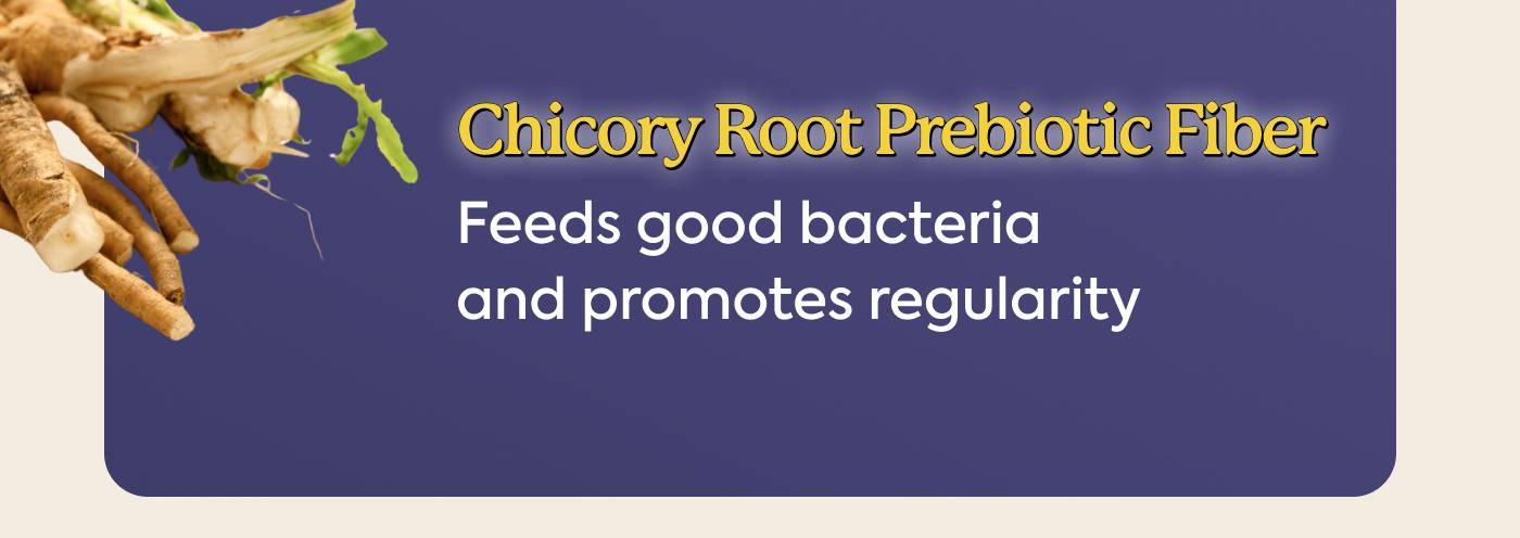 Chicory/Root Prebiotic Fiber Feeds good bacteria and promotes regularity