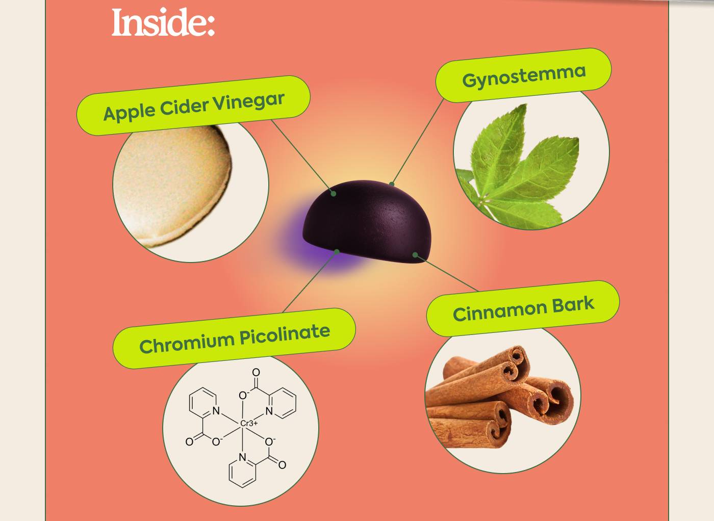 Inside: Gynostemma, Apple Cider Vinegar, Cinnamon Bark, Chromium Picolinate