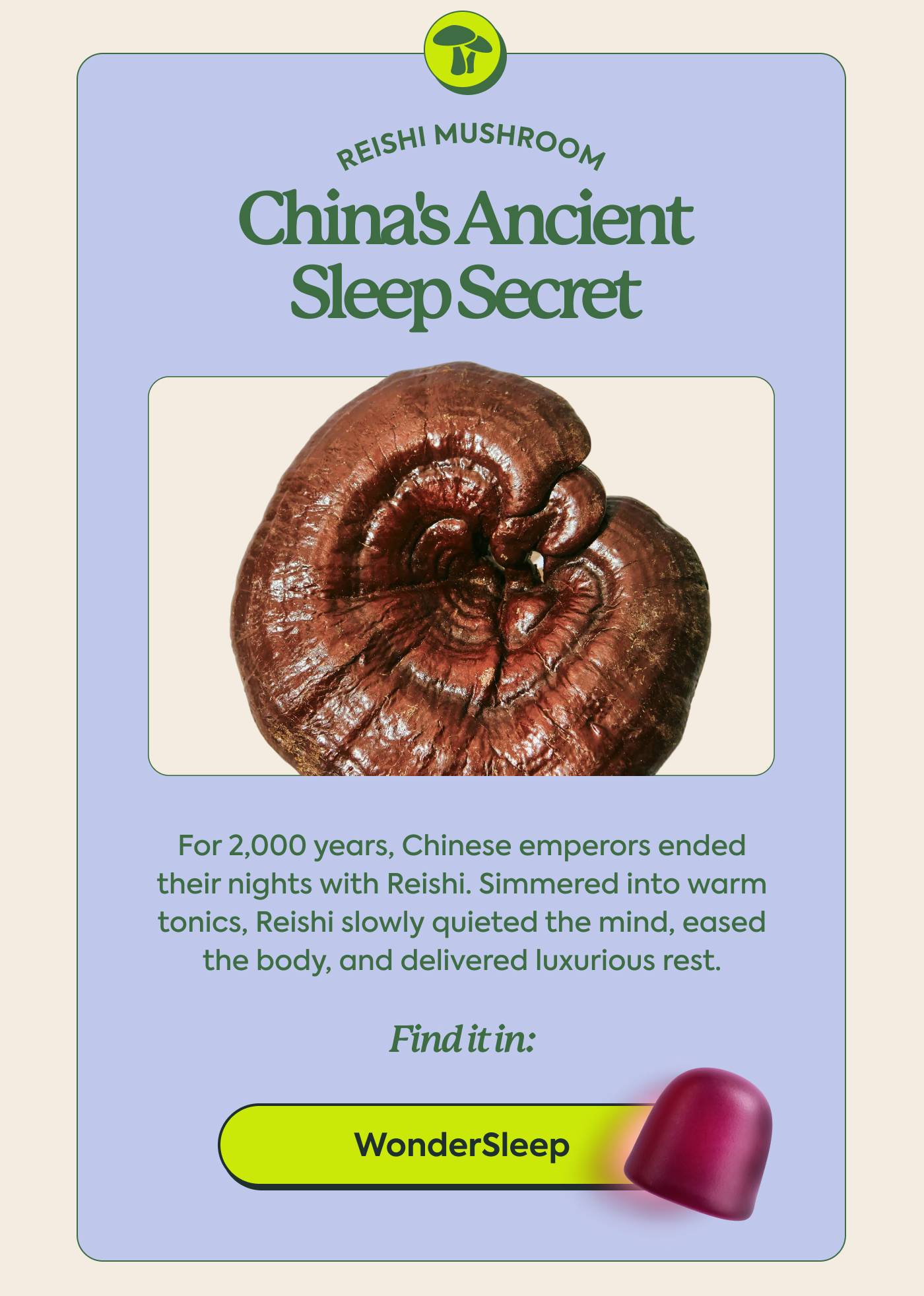 REISHI MUSHROOM - China's Ancient Sleep Secret | For 2,000 years, Chinese emperors ended their nights with Reishi. Simmered into warm tonics, Reishi slowly quieted the mind, eased the body, and delivered luxurious rest.  Find it in: WonderSleep