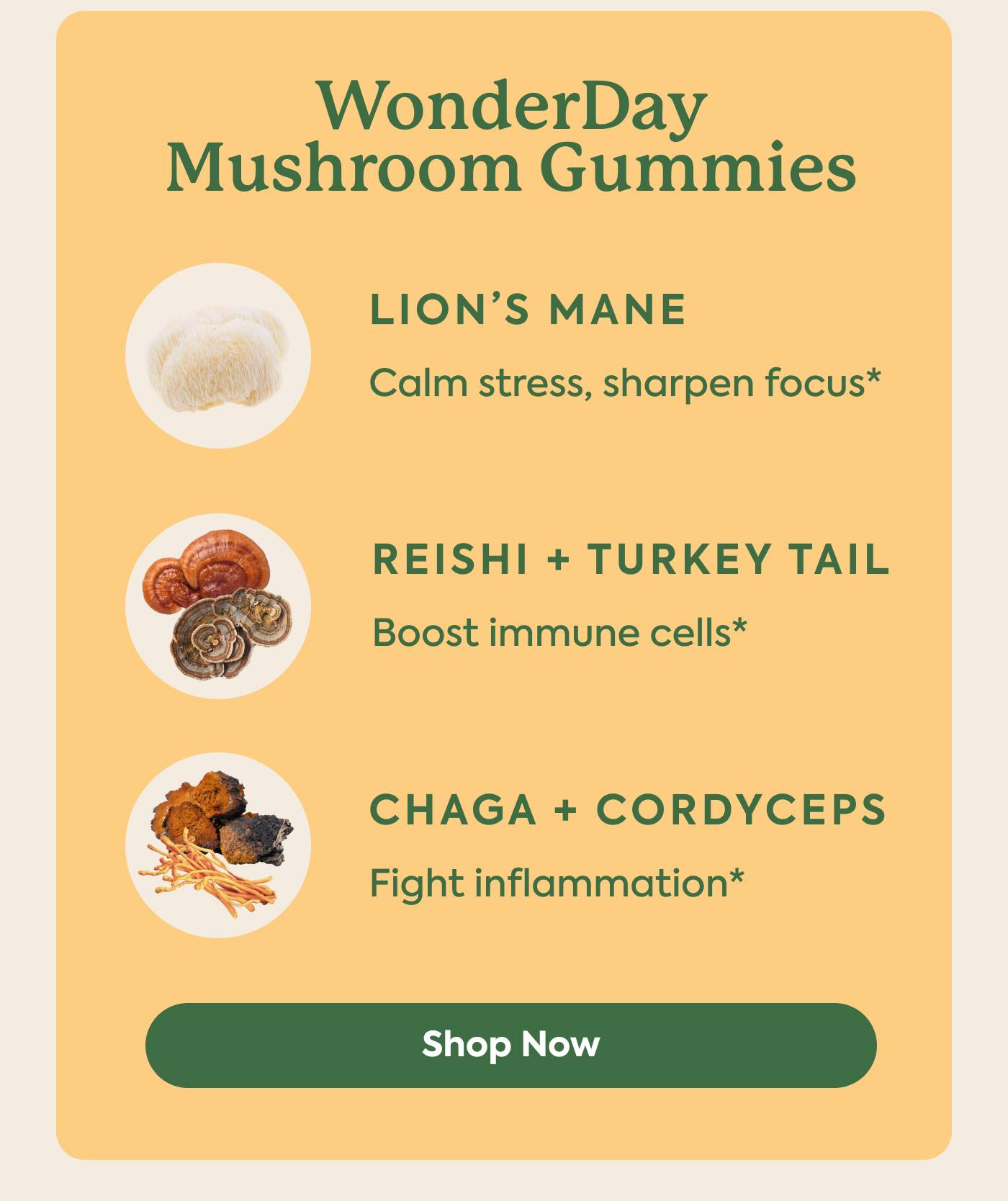 WonderDay Mushroom Gummies