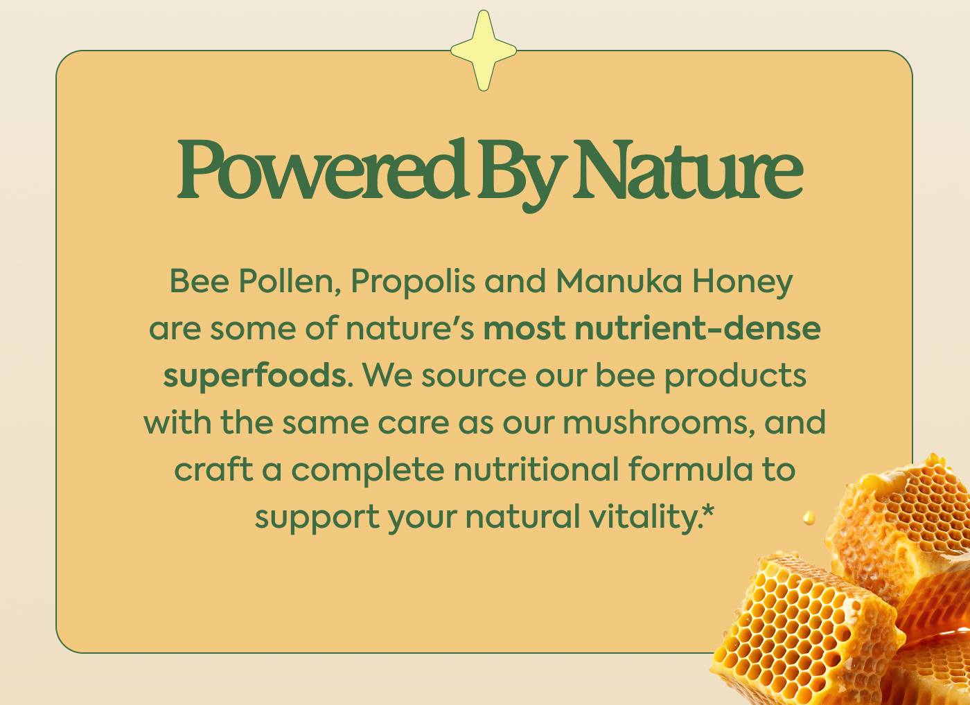 Powered By Nature Bee Pollen, Propolis and Manuka Honey are some of nature's most nutrient-dense superfoods. We source our bee products with the same care as our mushrooms, and craft a complete nutritional formula to support your natural vitality.