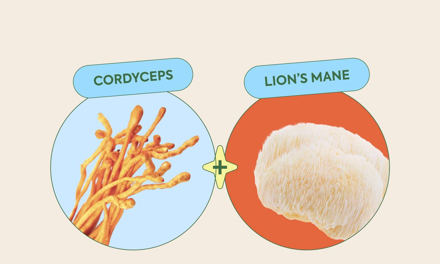 Cordyceps + Lion’s Mane