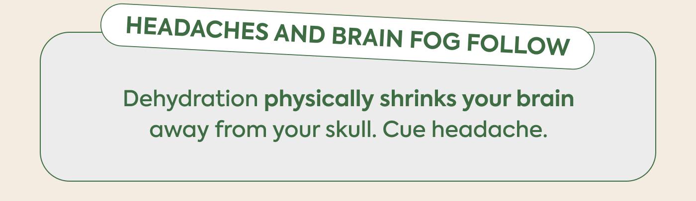 Headaches and brain fog follow Dehydration physically shrinks your brain away from your skull. Cue headache.