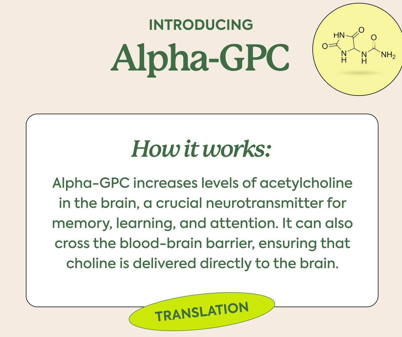 INTRODUCING Alpha-GPC INTRODUCING Alpha-GPC