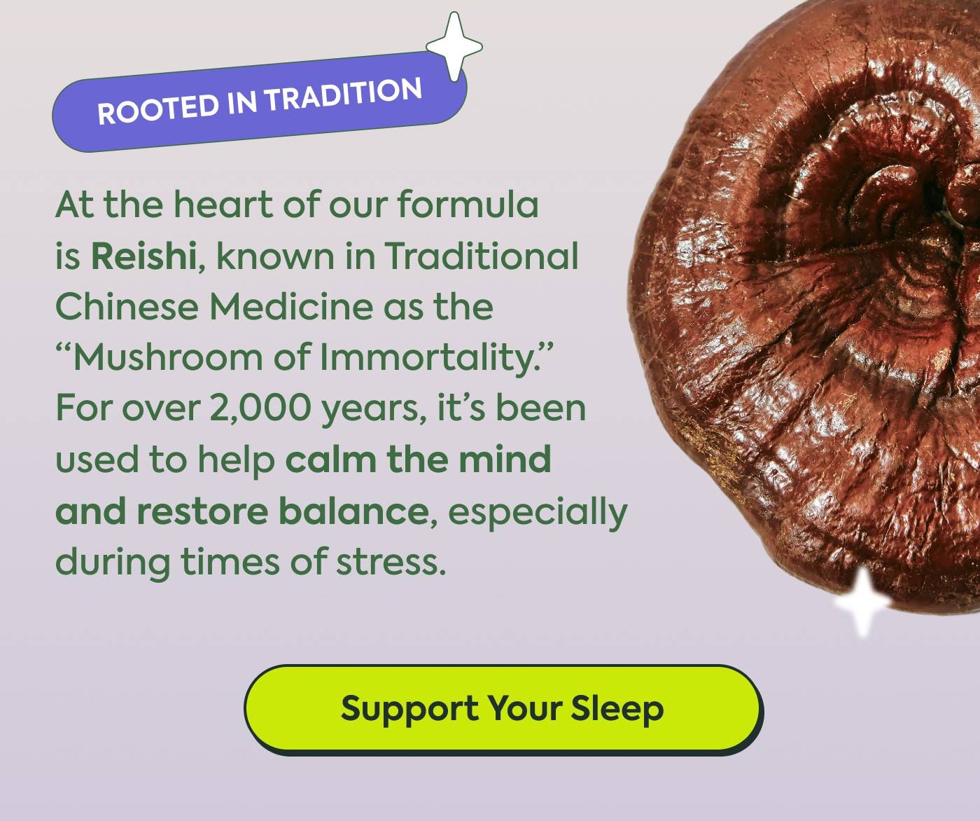 Rooted in Tradition At the heart of our formula is Reishi, known in Traditional Chinese Medicine as the “Mushroom of Immortality.” For over 2,000 years, it’s been used to help calm the mind and restore balance, especially during times of stress.