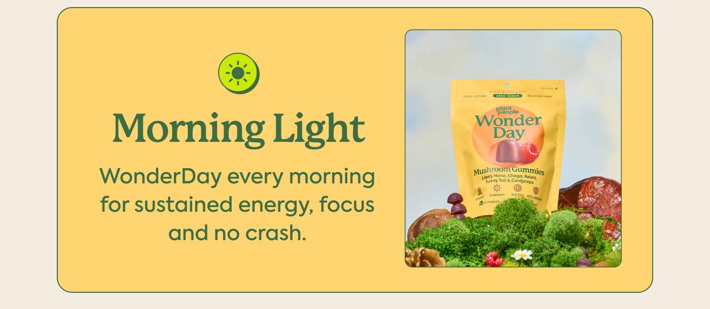 Morning Light: WonderDay every morning for sustained energy, focus and no crash
