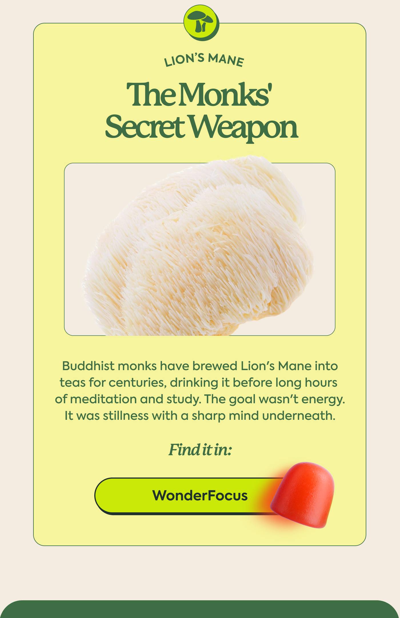 LION'S MANE - The Monks' Secret Weapon | Buddhist monks have brewed Lion's Mane into teas for centuries, drinking it before long hours of meditation and study. The goal wasn’t energy. It was stillness with a sharp mind underneath. Find it in: WonderFocus
