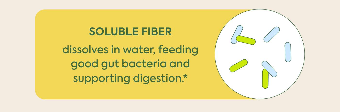 Soluble fiber: dissolves in water, feeding good gut bacteria and supporting digestion.* Soluble fiber: dissolves in water, feeding good gut bacteria and supporting digestion.*