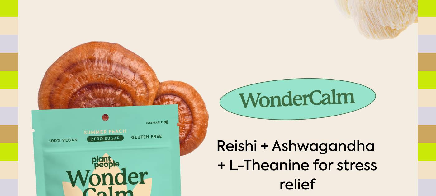 WonderCalm: Reishi + Ashwagandha + L-Theanine for stress relief WonderCalm: Reishi + Ashwagandha + L-Theanine for stress relief