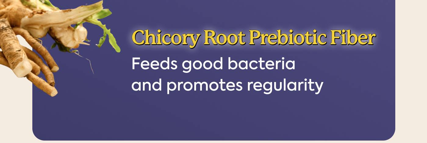 Chicory Root Prebiotic Fiber: Feeds good bacteria and promotes regularity
