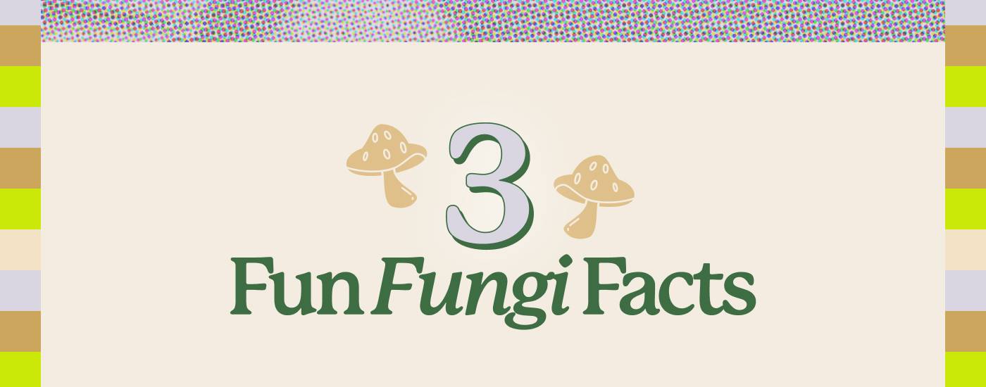 3 Fun Fungi Facts 3 Fun Fungi Facts