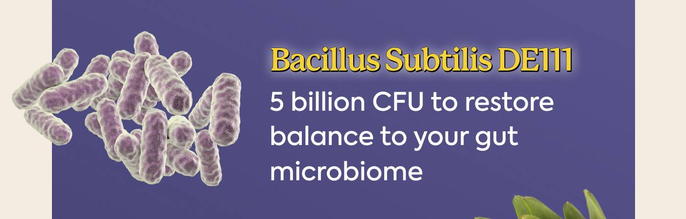 Bacillus Subtilis DE111: 5 billion CFU to restore balance to your gut microbiome