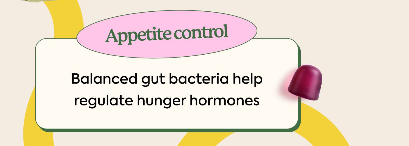 Appetite control: Balanced gut bacteria help regulate hunger hormones
