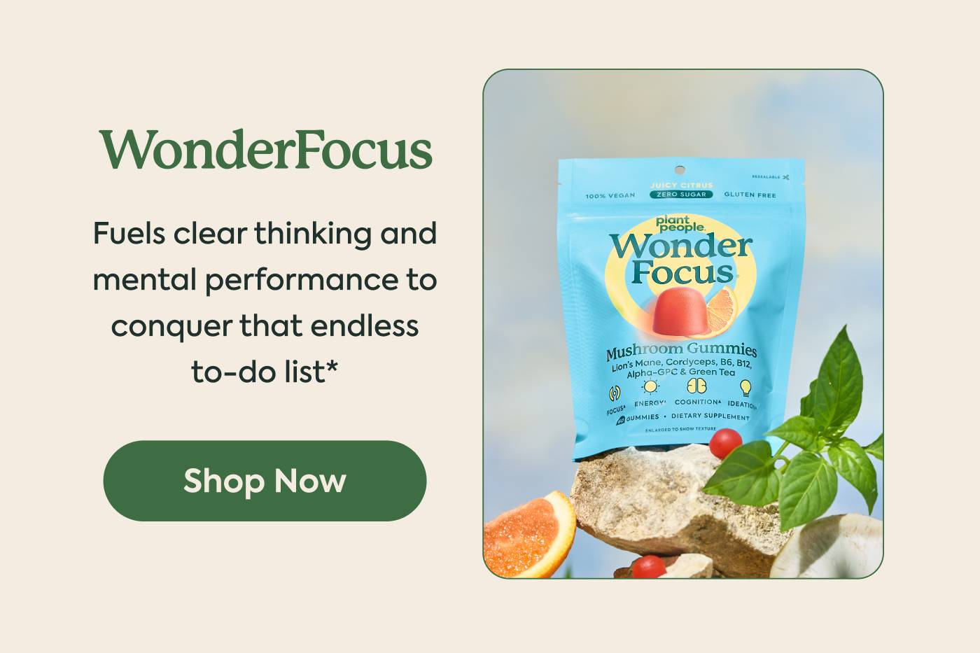 WonderFocus: fuels clear thinking and mental performance to conquer that endless to-do list* WonderFocus: fuels clear thinking and mental performance to conquer that endless to-do list*