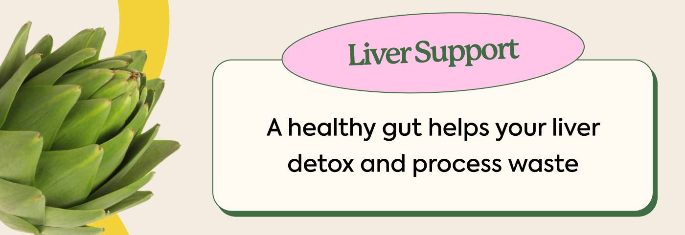 Liver support: A healthy gut helps your liver detox and process waste