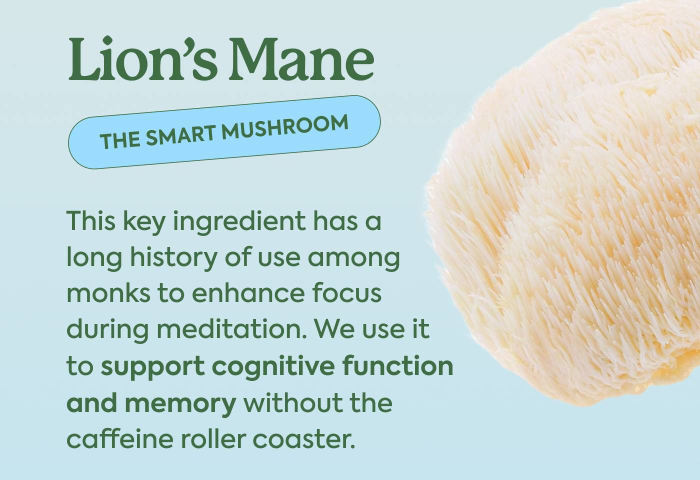 Lion’s Mane This key ingredient has a   long history of use among monks to enhance focus  during meditation. We use it  to support cognitive function and memory without the  caffeine roller coaster.