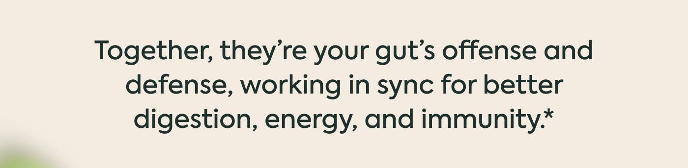 Together, they’re your gut’s offense and defense, working in sync for better digestion, energy, and immunity.* Together, they’re your gut’s offense and defense, working in sync for better digestion, energy, and immunity.*