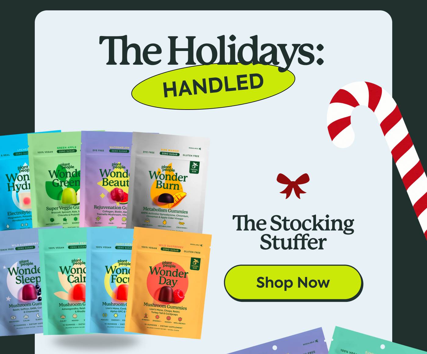 The Stocking Stuffer