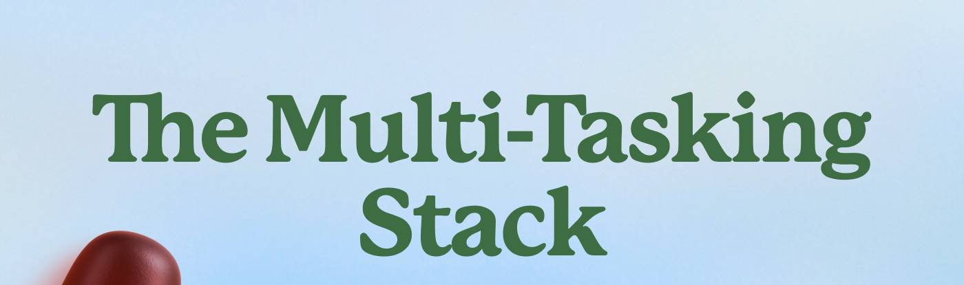 The Multi-Tasking Stack The Multi-Tasking Stack
