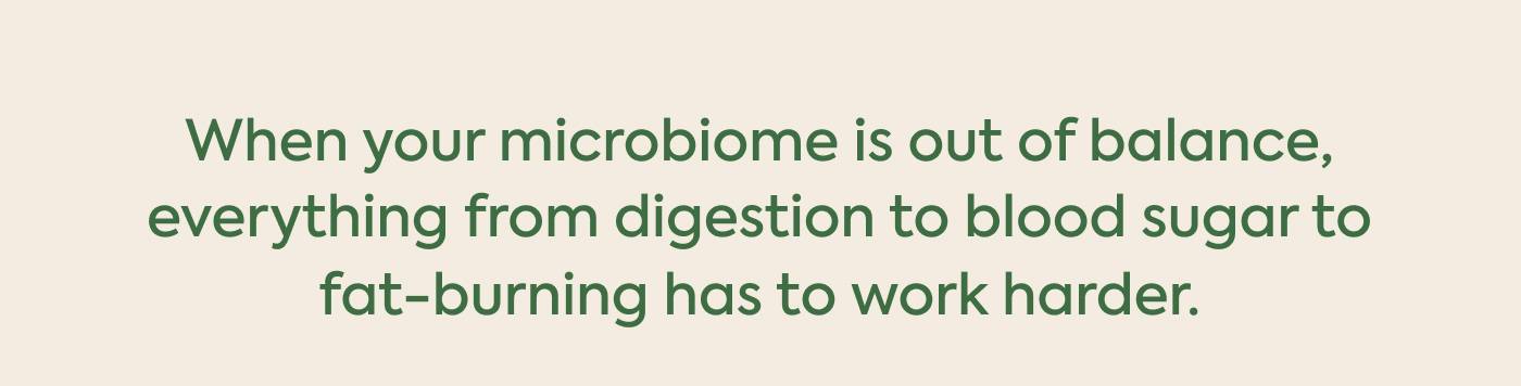 When your microbiome is out of balance, everything from digestion to blood sugar to fat-burning has to work harder.