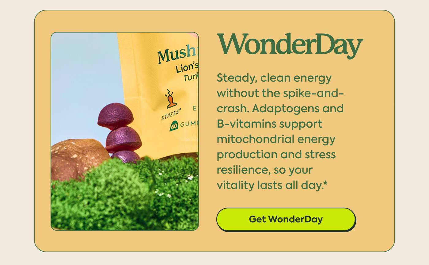 WonderDay Steady, clean energy without the spike-and-crash. Adaptogens and B-vitamins support mitochondrial energy production and stress resilience, so your vitality lasts all day.* GET WONDERDAY