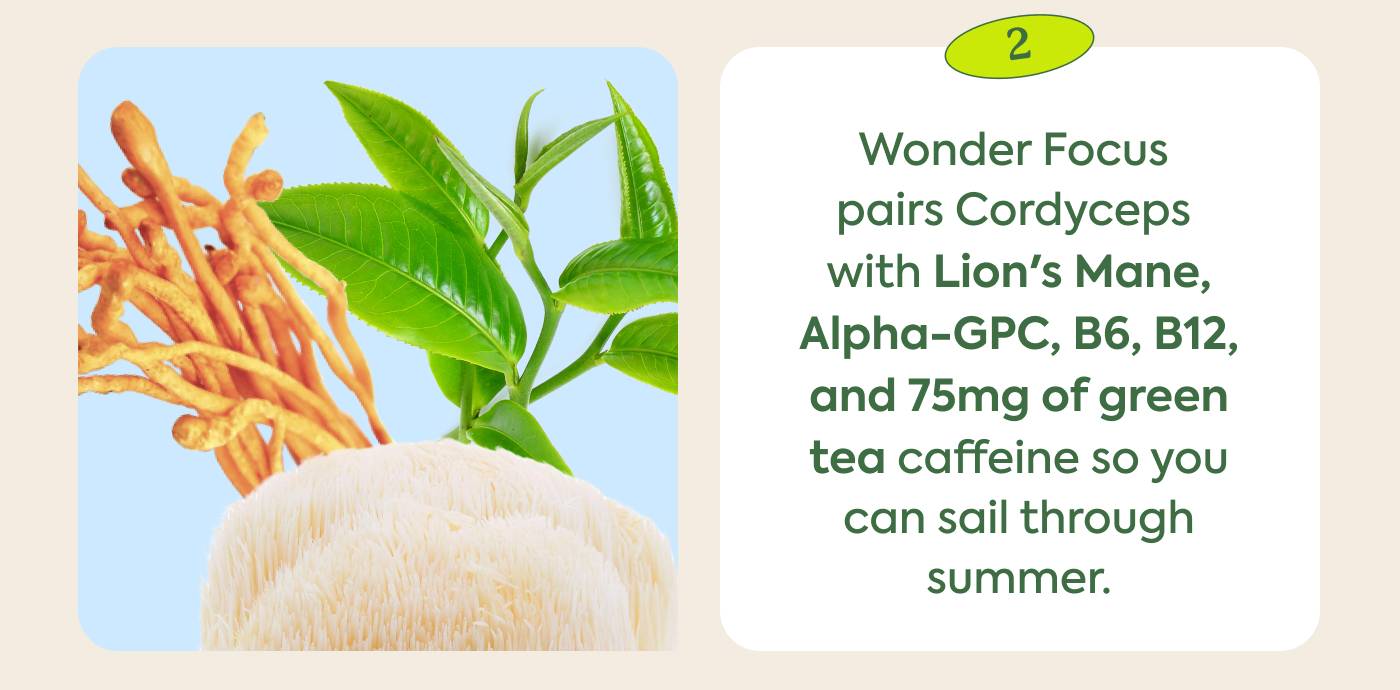 Wonder Focus pairs Cordyceps with Lion's Mane, Alpha-GPC, B6, B12, and 75mg of green tea caffeine so you can sail through summer.